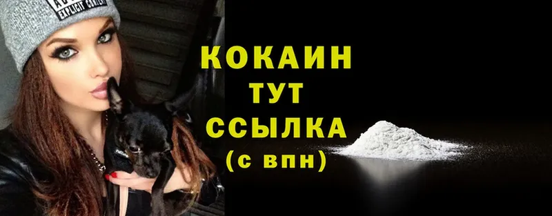 Cocaine Эквадор  наркотики  Ковров 