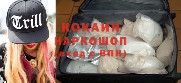 шишки Каменка