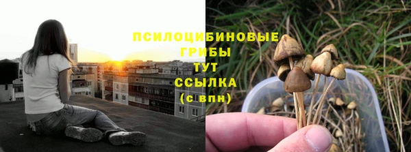 каннабис Каменногорск