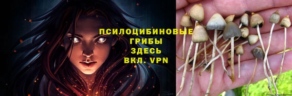 шишки Каменка