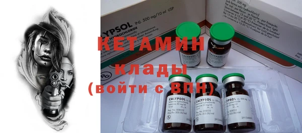 шишки Каменка