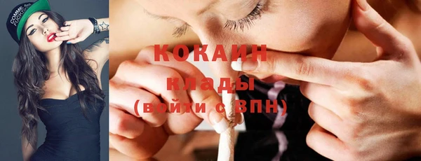 шишки Каменка
