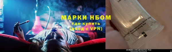 шишки Каменка