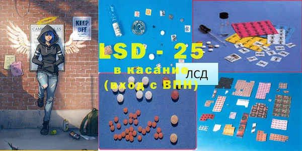 шишки Каменка
