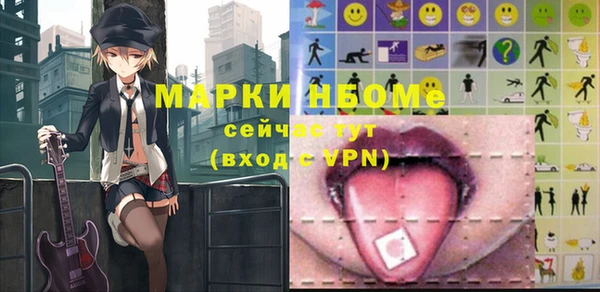 шишки Каменка
