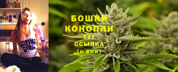 каннабис Каменногорск