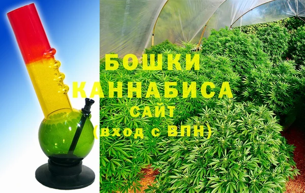 шишки Каменка
