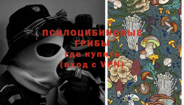 каннабис Каменногорск