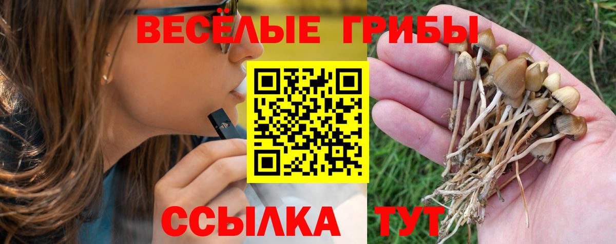 Галлюциногенные грибы Magic Shrooms Ковров