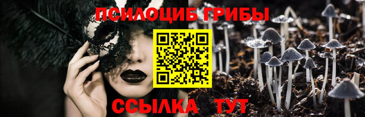 Псилоцибиновые грибы Psilocybine cubensis  Псилоцибиновые грибы MAGIC MUSHROOMS  Вход с VPN  Ковров 